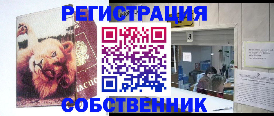 прописка поиск в Отрадном